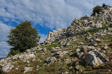 The Mehedinti Mountains