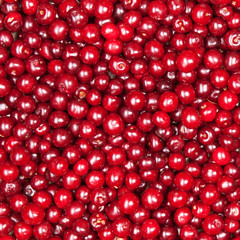 red cherry