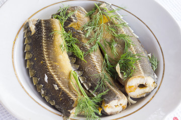 Sturgeon