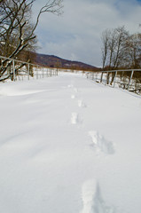 footsteps in snow on bridge - 81832971