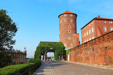 Fototapeta na wymiar Tower of Wawel Royal Castle, Krakow, Poland