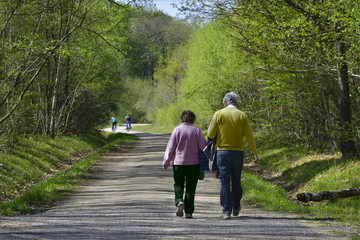 Couple de retraités en marche dans la forêt, département de Seine-et-Marne en région Île-de-France, France - obrazy, fototapety, plakaty