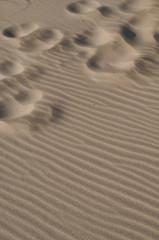 Playa y pisadas
