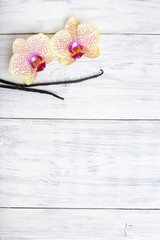 Fototapeta na wymiar Vanilla pods and orchid flowers on wooden background