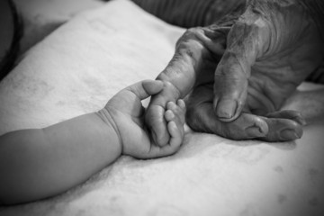 Hands of the old woman. Black and White.