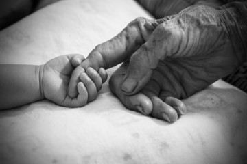 Hands of the old woman. Black and White.