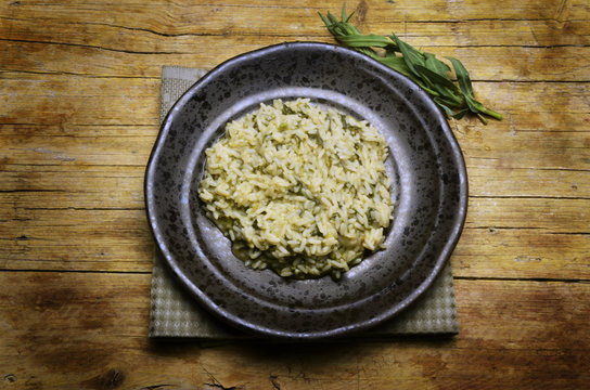 Silene vulgaris Bladder campion Sclopit Lepnica rozdęta