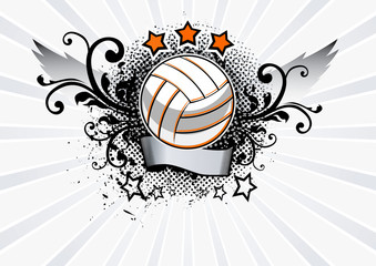 Volleyball Emblem