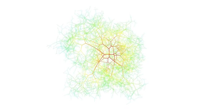 Brain Network Growing and Processing Maturing Rapidly