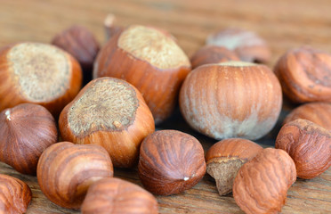 Hazelnut / Haselnuss - Nuts / Nüsse - On Wood / Auf Holz