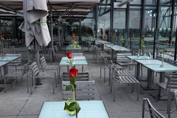 roses rouges sur tables de café, terrasse
