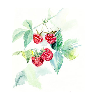 Branch raspberry. Forest miniatures.