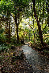 Pathway in a Park Victoria Falls, Zimbabwe in Spring