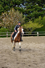 en paddock © Image'in