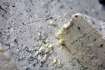 Cheese with herbs