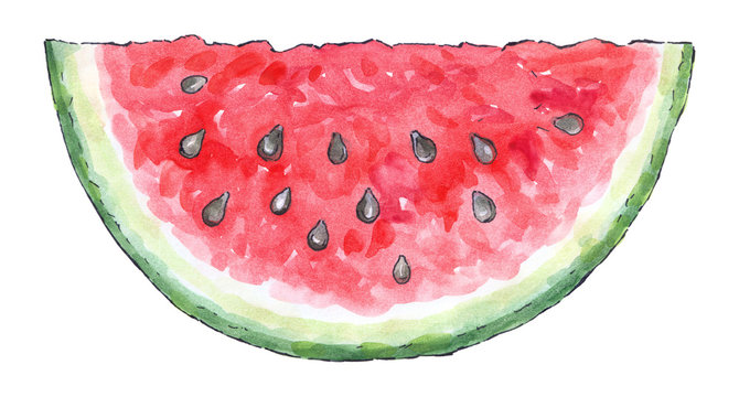 Watercolor painting of a set of fruit: watermelon