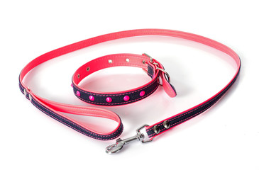 leash and collar
