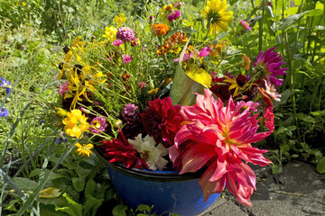 summer garden bouquet in bucket, The Netherlands