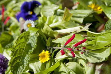 garden salad with eatable flowers, The Netherlands