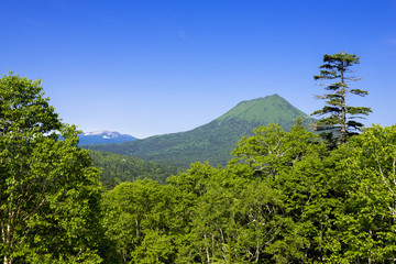 阿寒国立公園の双岳台より阿寒岳