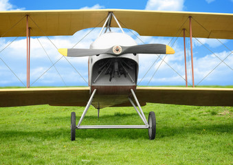 Old airplane on green grass © dimj