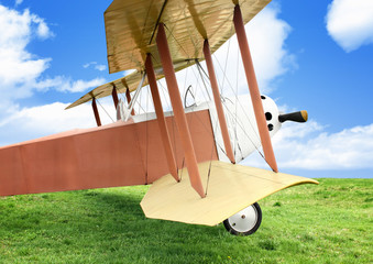 Old airplane on green grass © dimj