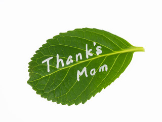 Obraz premium 母の日のメッセージ