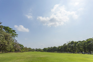 Fototapeta premium Green park and sky