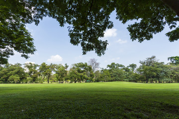 Green park and sky