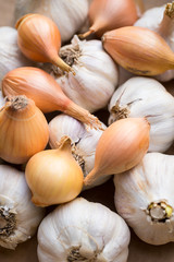 Fresh organic garlic and onions close up, clean eating concept