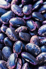 Purple beans on white background close up
