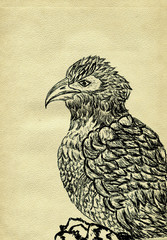 Eagle Sketch