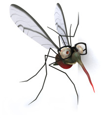 Mosquito