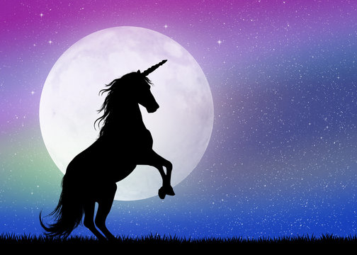 Fototapeta unicorn in the moonlight