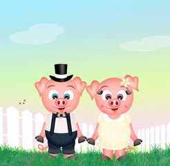 Obraz na płótnie Canvas funny pigs
