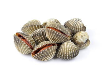 Fresh Clam shellfish food on white background