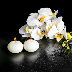 Fototapeta na wymiar beautiful spa concept of blooming white orchid flower, phalaenop