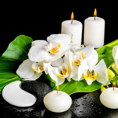 Fototapeta na wymiar spa concept of orchid flower, phalaenopsis, leaf with dew, candl