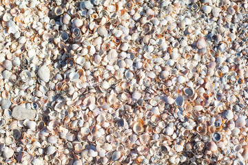 seaside of the Azov sea