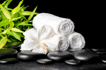 Fototapeta na wymiar spa concept of white hibiscus flower, bamboo and towels on zen b