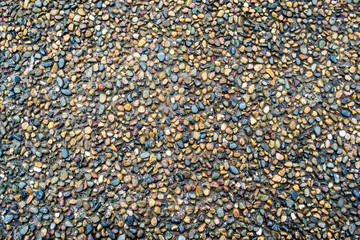 Wet Beach Stones