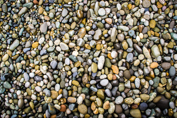 Wet Stones and Pebbles