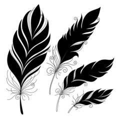 Obraz premium Vector Peerless Decorative Feather