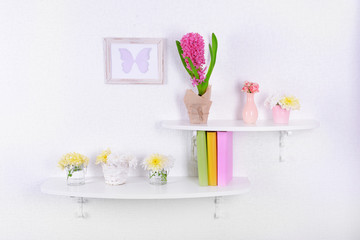 Flower on shelves on white wall background
