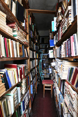 Many books on bookshelf in library
