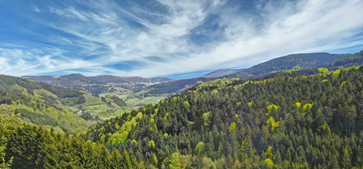Natur pur im Schwarzwald Berge und Täler