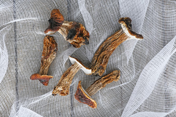 Dried mushrooms on white fabric, closeup