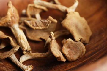 Dried mushrooms, closeup