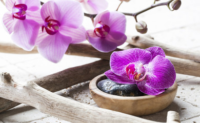 natural elements for spa treatment with ordchids background