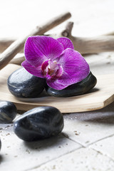 Fototapeta na wymiar black pebbles for massage and relaxation